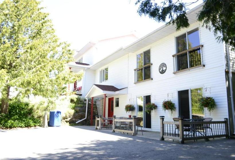 The Forest House B&b