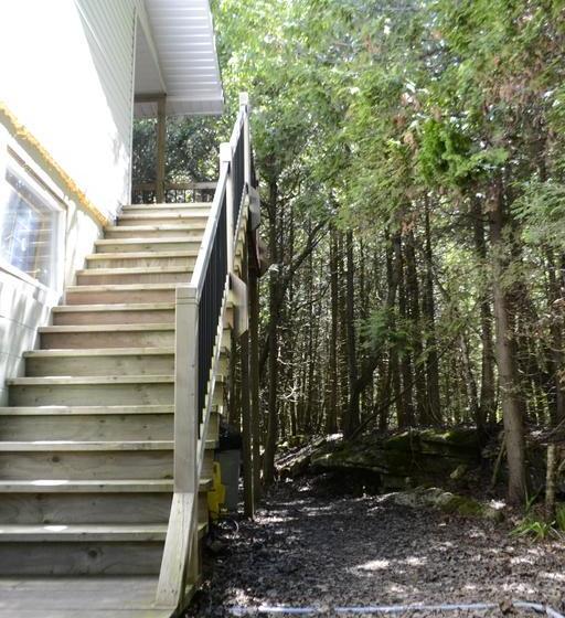 The Forest House B&b