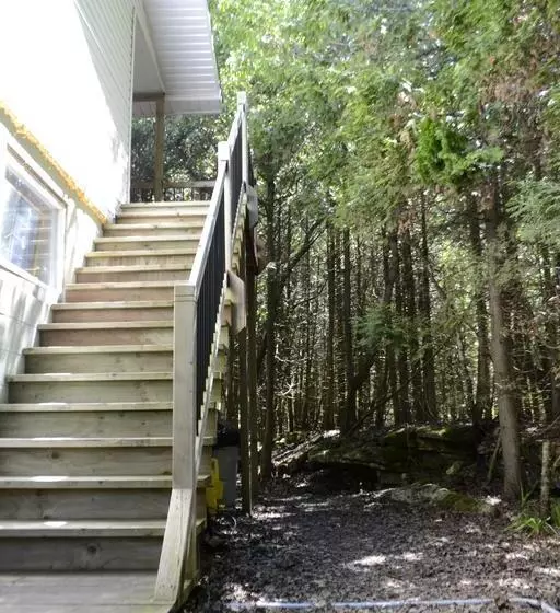 The Forest House B&b