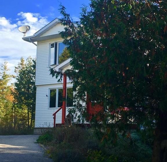 The Forest House B&b