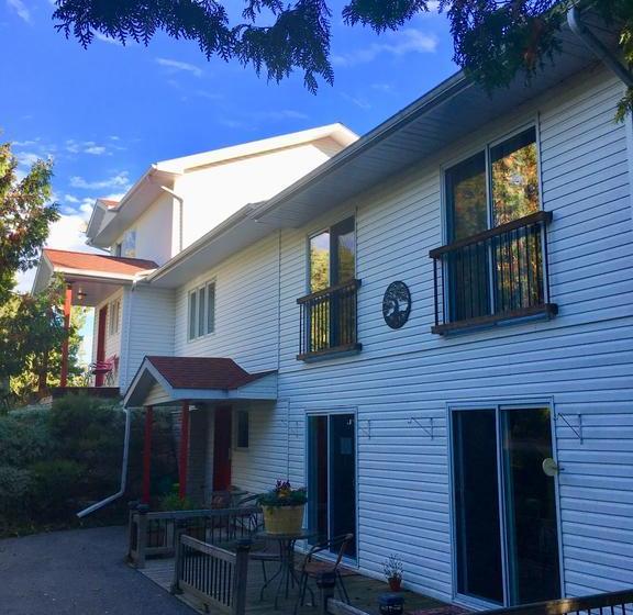 The Forest House B&b