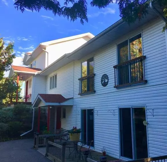 The Forest House B&b