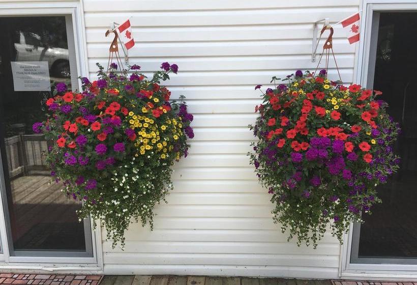 The Forest House B&b