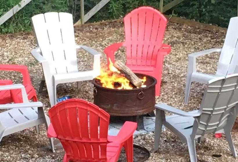 The Forest House B&b