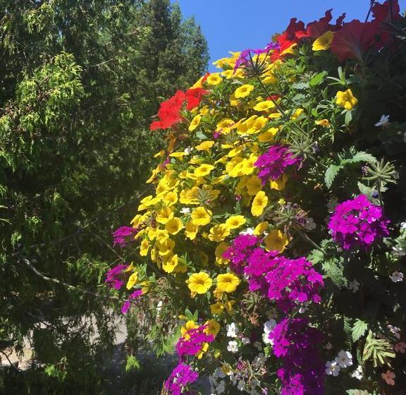 The Forest House B&b