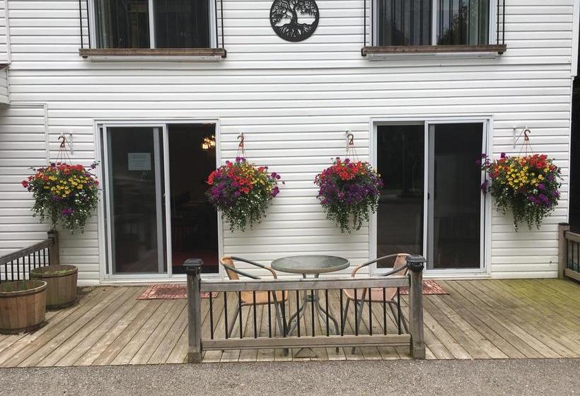 The Forest House B&b