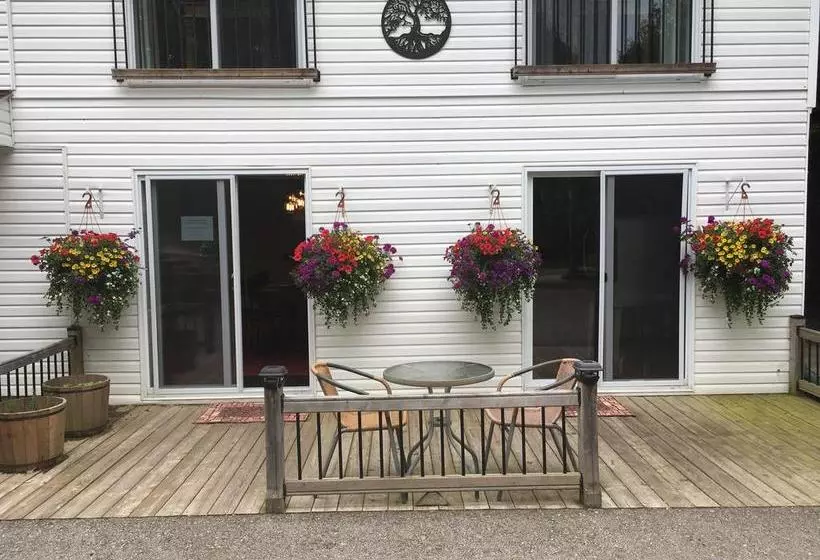 The Forest House B&b