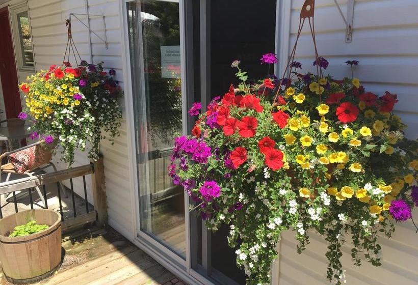 The Forest House B&b