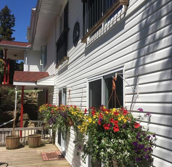 The Forest House B&b