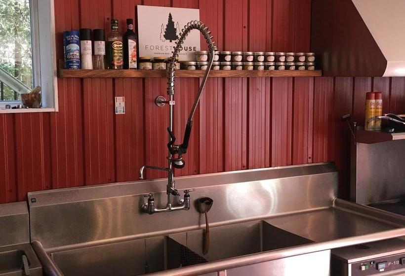 The Forest House B&b