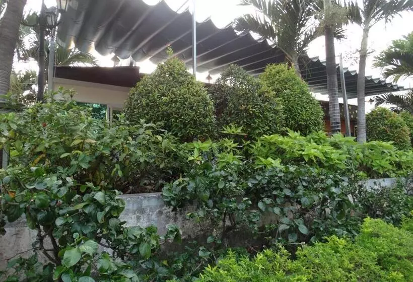 هاستل Hoai Pho