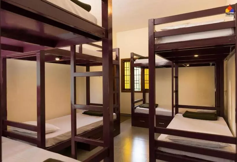Trippr Kodaikanal Backpacker Hostel