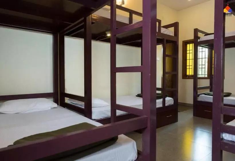 Trippr Kodaikanal Backpacker Hostel