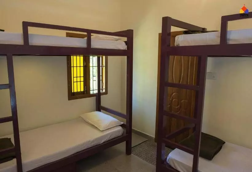 Trippr Kodaikanal Backpacker Hostel