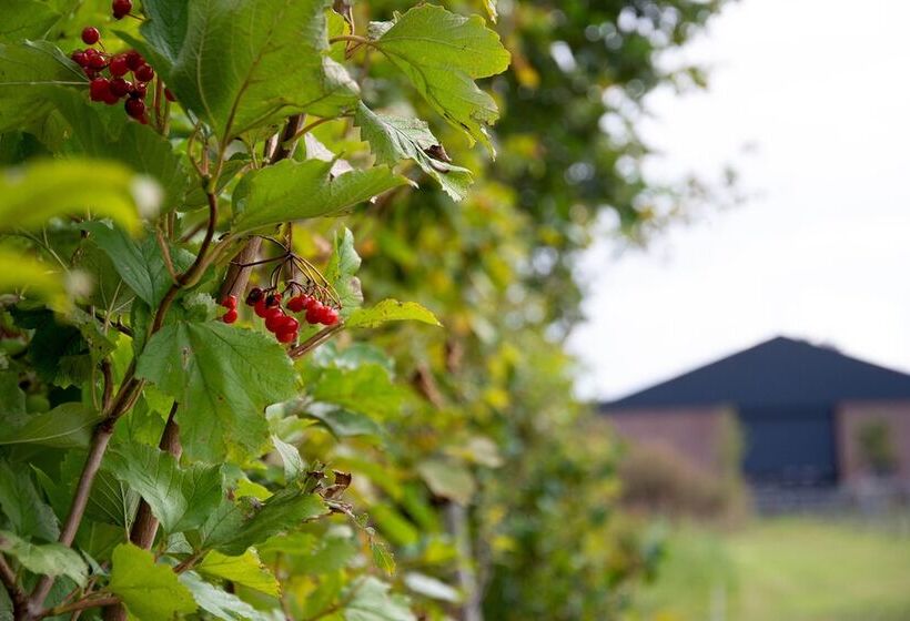 مبيت وإفطار Antonius Hoeve