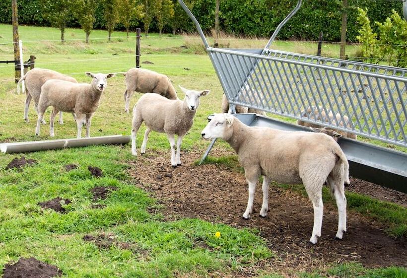 مبيت وإفطار Antonius Hoeve