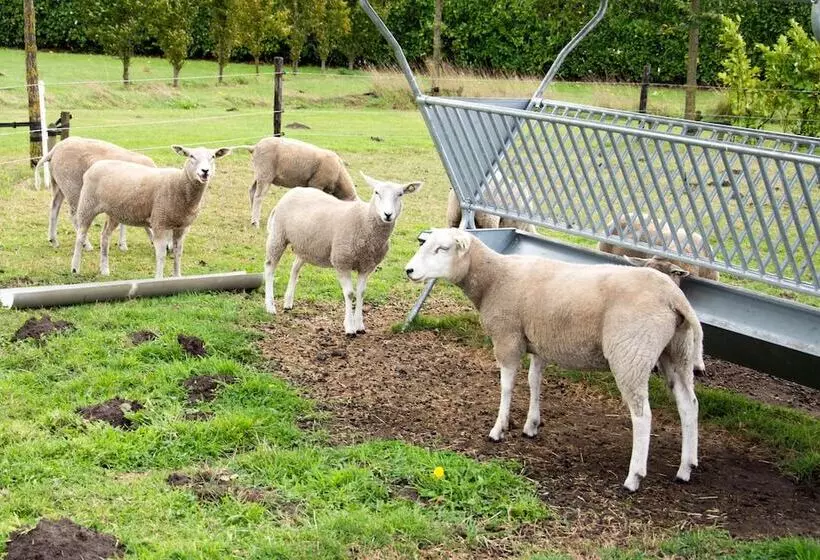 Aamiaismajoitus (B&B) Antonius Hoeve