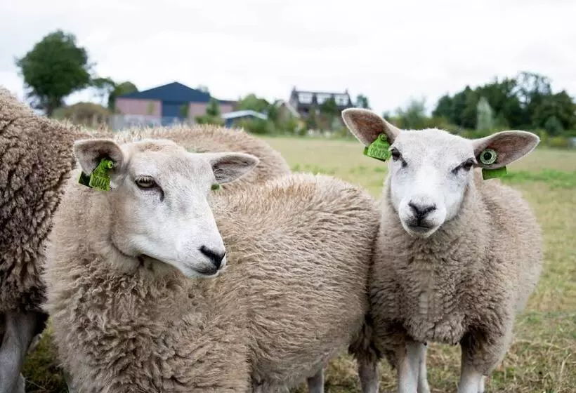 Aamiaismajoitus (B&B) Antonius Hoeve