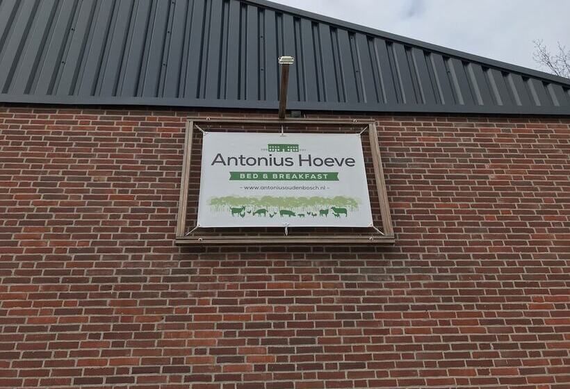 مبيت وإفطار Antonius Hoeve