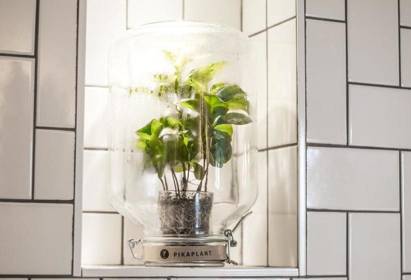 B&b Roeloft Amsterdam