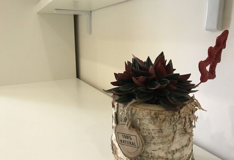 تختخواب و صبحانه Terrazza Aragon Room And Spa