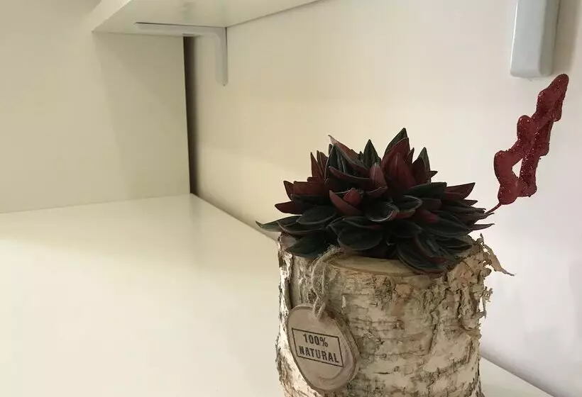 تختخواب و صبحانه Terrazza Aragon Room And Spa