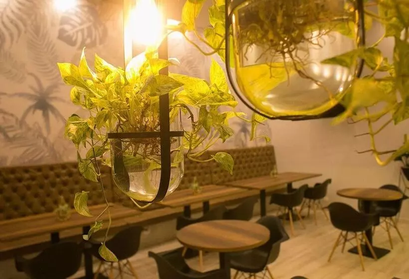 ホテル Sexta Avenida Inn