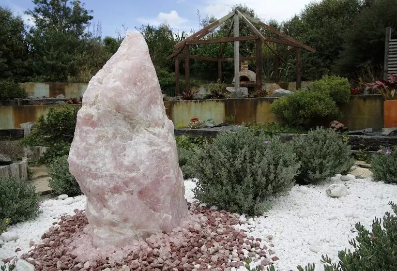 Tracy's Boutique B&b Farmstay