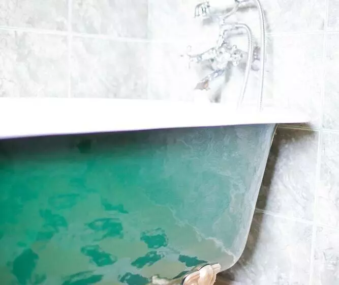 Tracy's Boutique B&b Farmstay