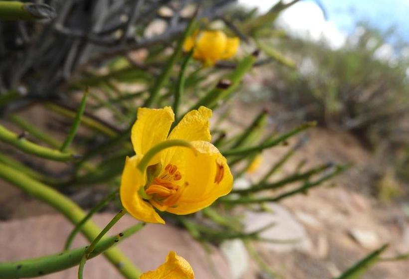 בית מלון כפרי Casa Colorada All Inclusive Eco Lodge