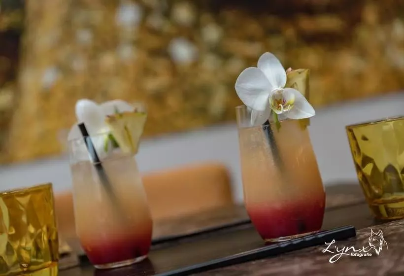 ホテル De Vesten Comfort Lodge