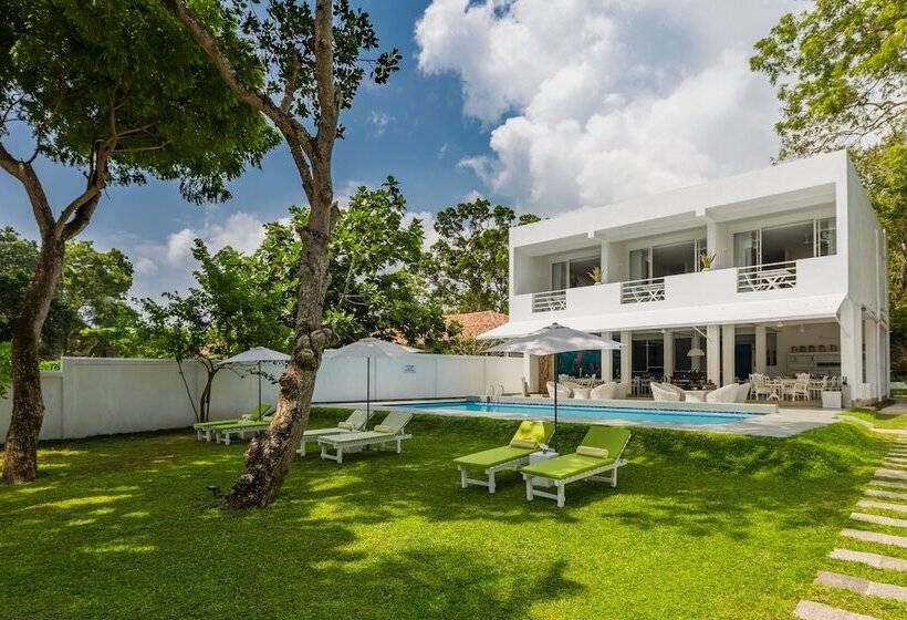 酒店 Taru Villas Tangalle Social   Tangalle