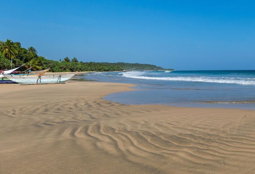 酒店 Taru Villas Tangalle Social   Tangalle