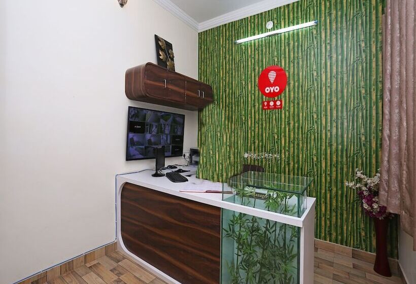 Oyo 10104 Radhika Resort