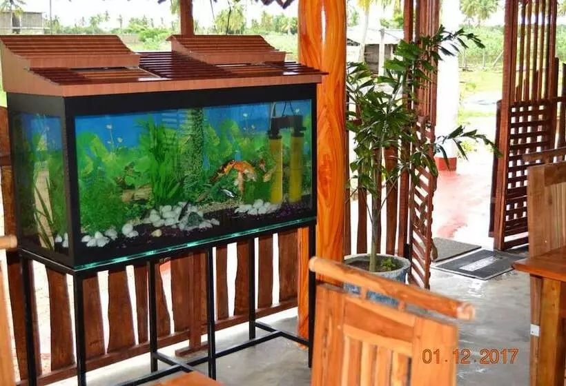 リゾートホテル Shan Guest And Restaurant Nilaveli