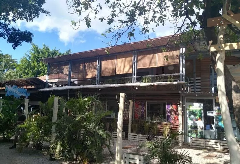 Tuanis B&b Tamarindo