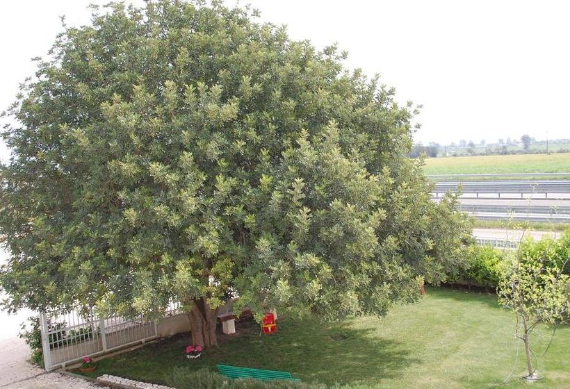 צימר All Ombra Del Carrubo   Metaponto