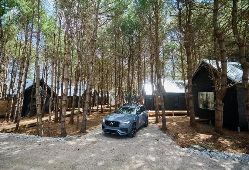 Black Forest Cabins