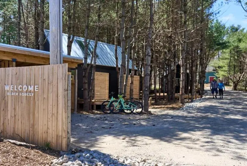 Black Forest Cabins