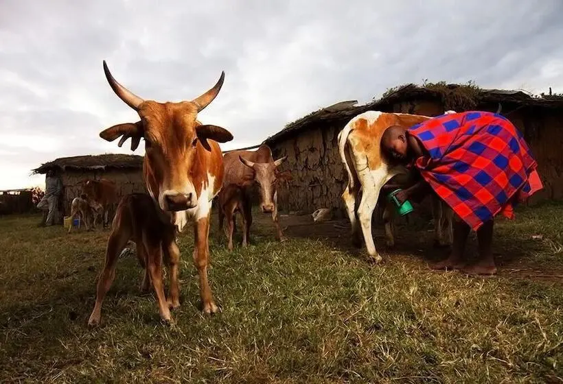 هتل Masai Village Stay Tanzania