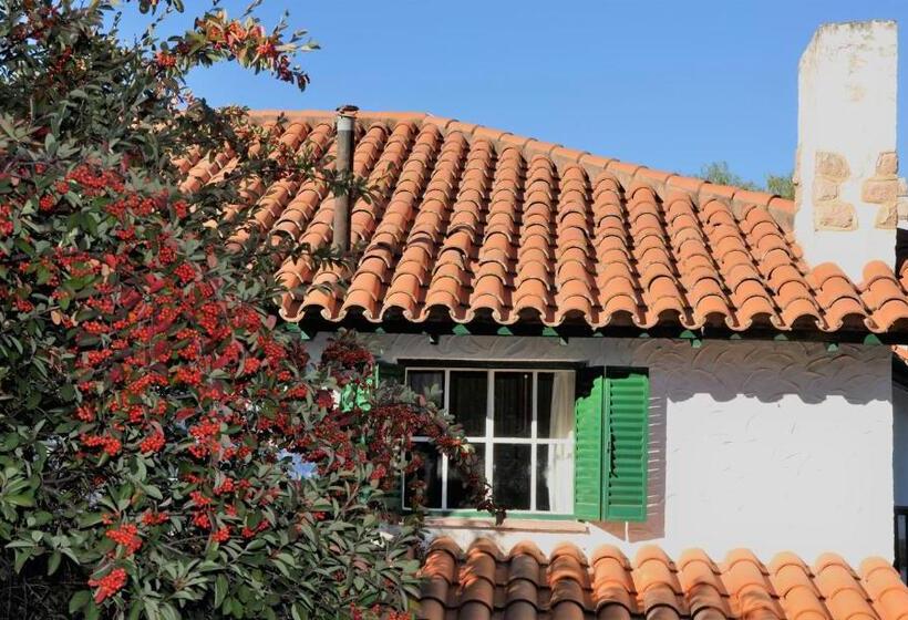 ベッドアンドブレックファースト Evergreen