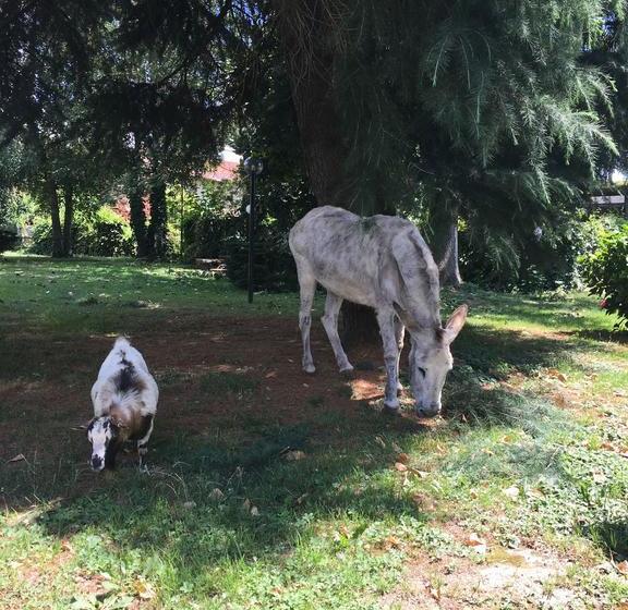 Bed and Breakfast Il Trattore