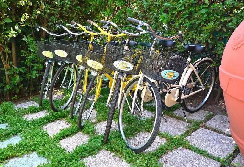 Bed & Breakfast Il Vicolo