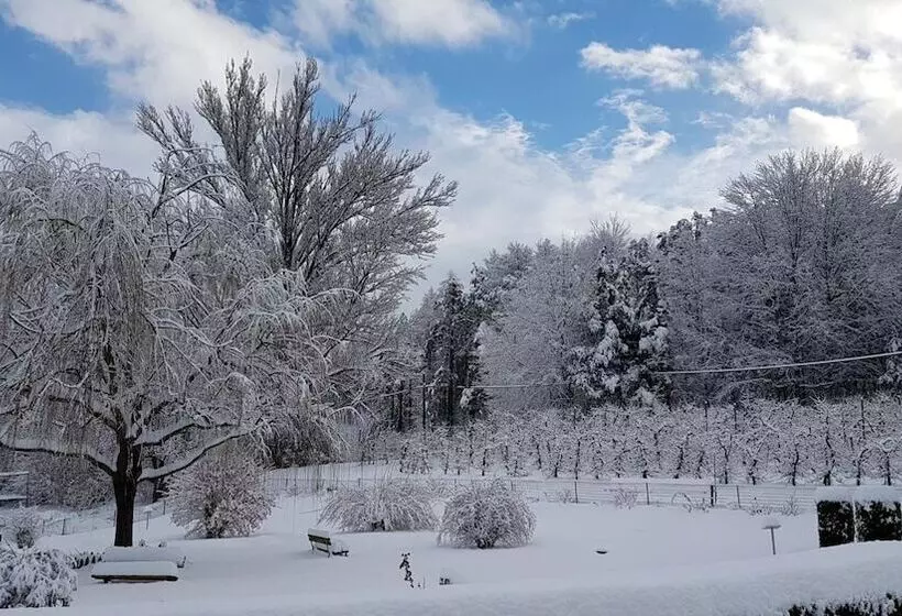 ホテル Flötscherhof