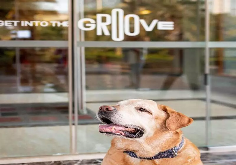 ホテル Ibis Pune Hinjewadi   An Accor Brand