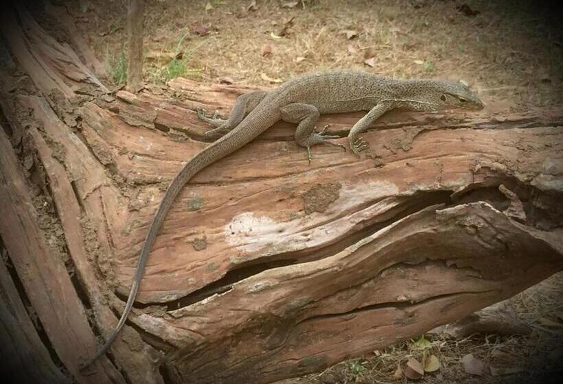 Humbhaha Jungle Yala Nature Eco Resort