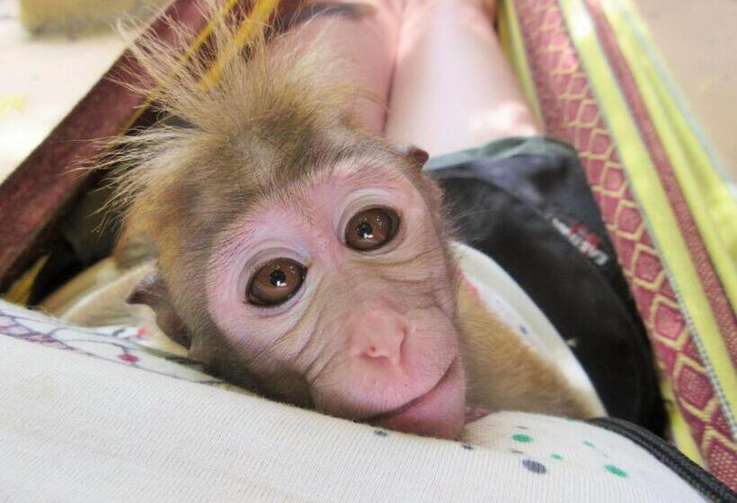 Humbhaha Jungle Yala Nature Eco Resort