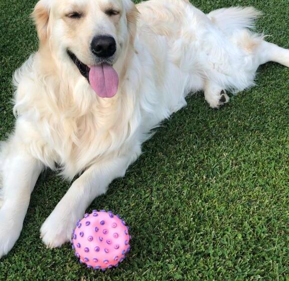 Bed and Breakfast Villaspino