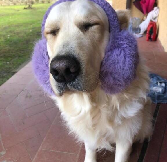 Bed and Breakfast Villaspino