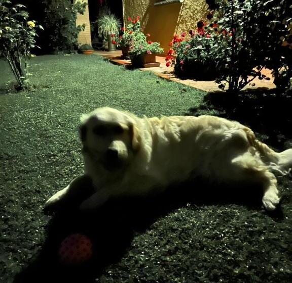 Bed and Breakfast Villaspino